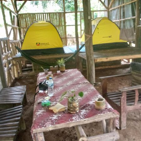 Landak River Guest House Only Trekking With Us Bukit Lawang Extérieur photo