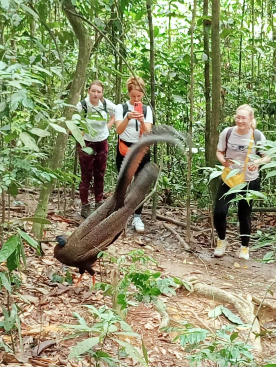 Landak River Guest House Only Trekking With Us Bukit Lawang Extérieur photo