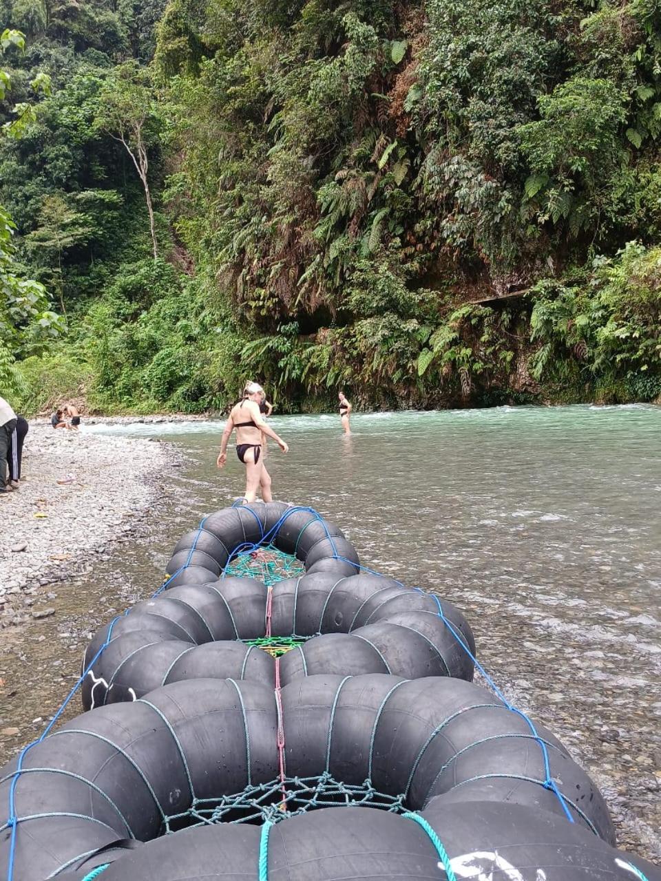 Landak River Guest House Only Trekking With Us Bukit Lawang Extérieur photo