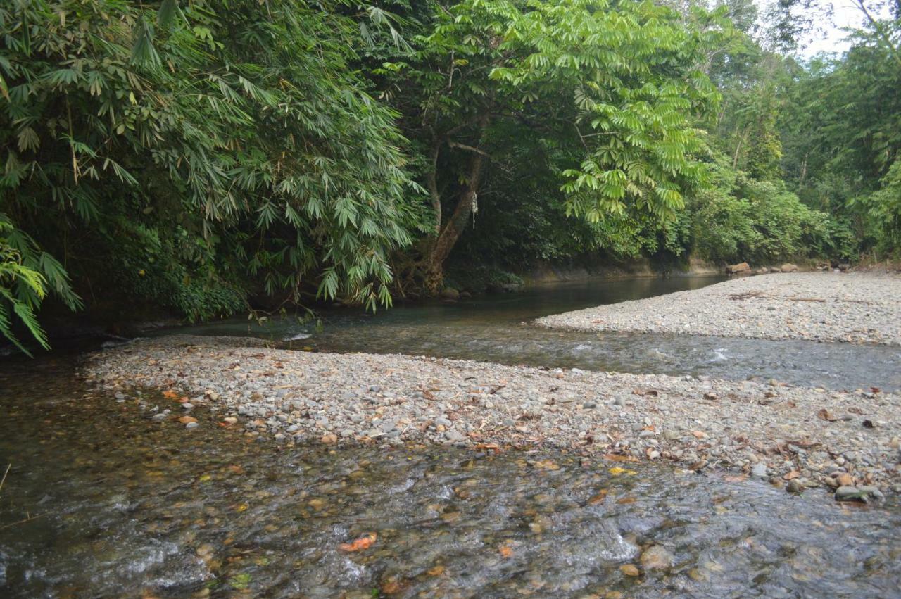 Landak River Guest House Only Trekking With Us Bukit Lawang Extérieur photo