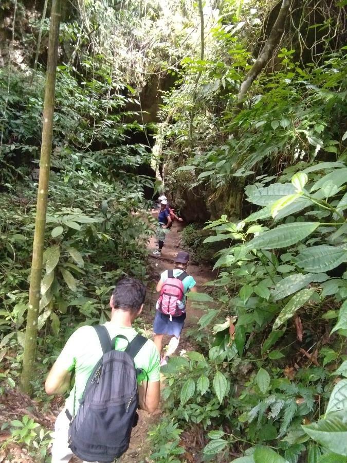 Landak River Guest House Only Trekking With Us Bukit Lawang Extérieur photo