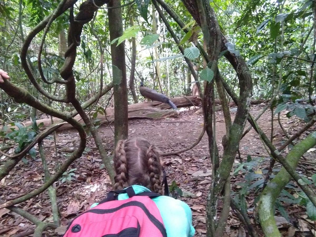 Landak River Guest House Only Trekking With Us Bukit Lawang Extérieur photo