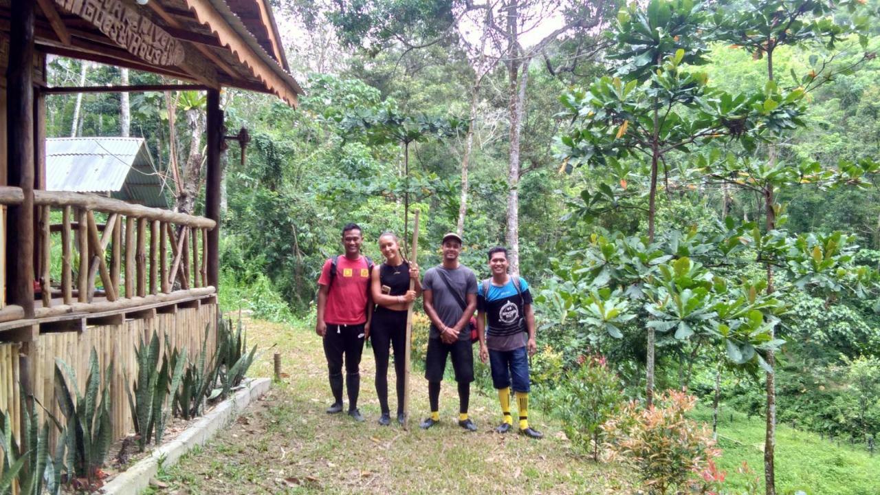 Landak River Guest House Only Trekking With Us Bukit Lawang Extérieur photo