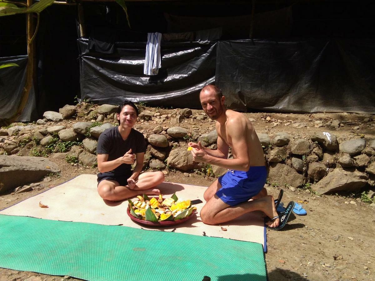 Landak River Guest House Only Trekking With Us Bukit Lawang Extérieur photo