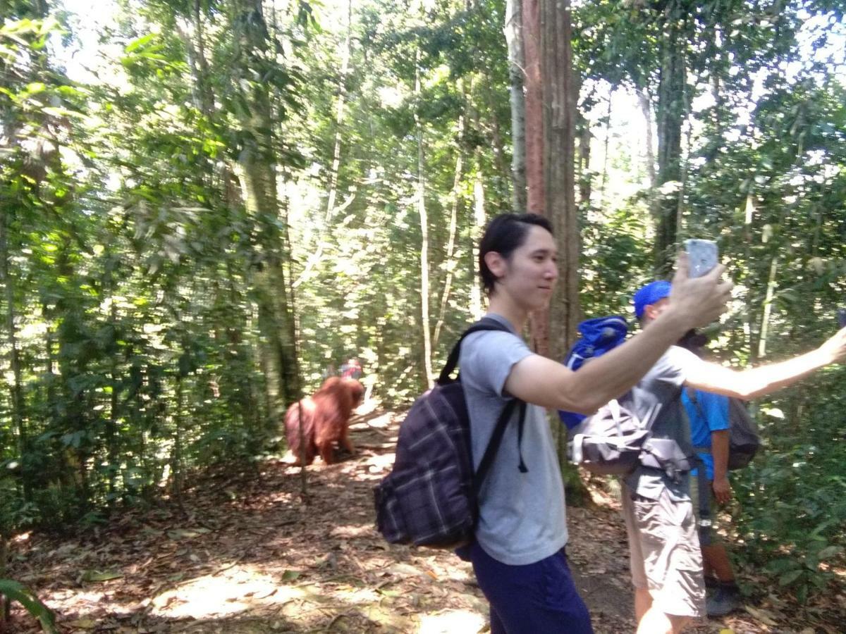 Landak River Guest House Only Trekking With Us Bukit Lawang Extérieur photo