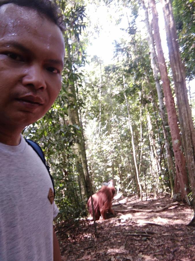 Landak River Guest House Only Trekking With Us Bukit Lawang Extérieur photo